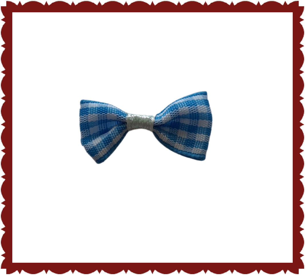 Strikje Blauwe Ruit