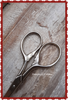 Scissors Vintage Silver